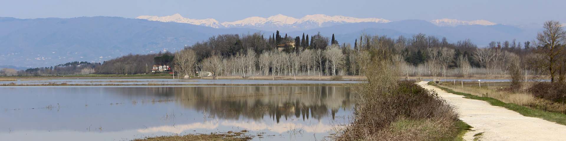 Pisa e dintorni